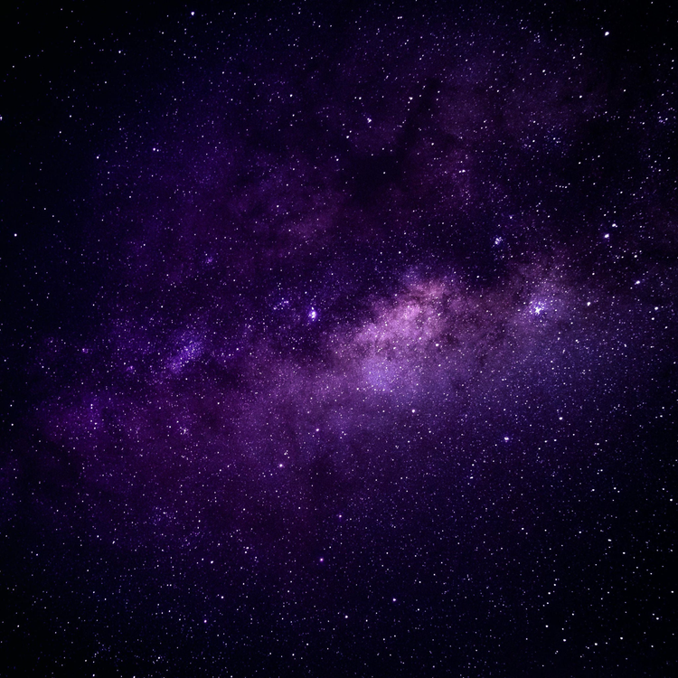 The Whole Galaxy