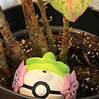 Shaymin Character Ball 3D printed Pokémon collectible in green and white, fully assembled