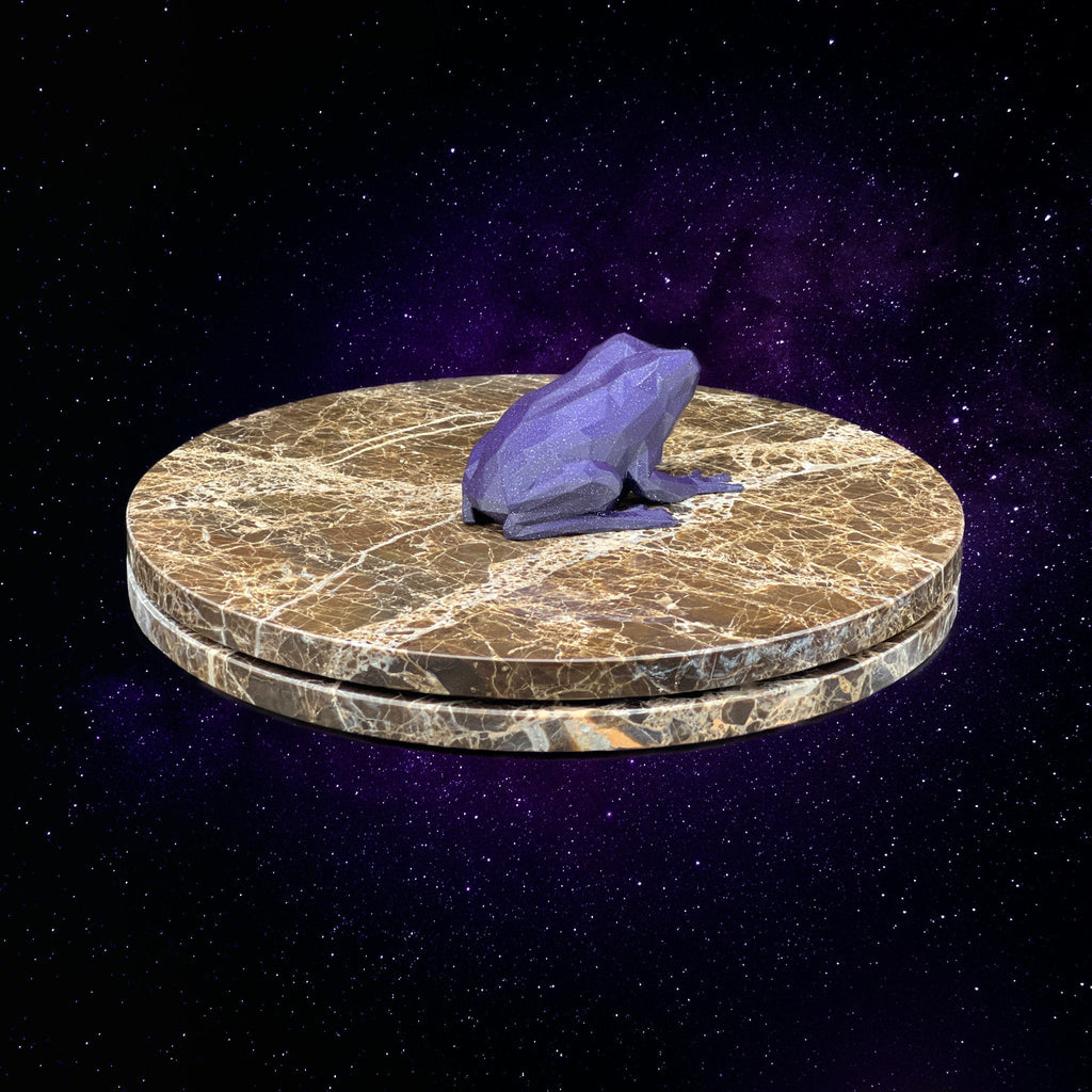 "Gustaeu The Frog" - 3D Printed - Hand of Stardust