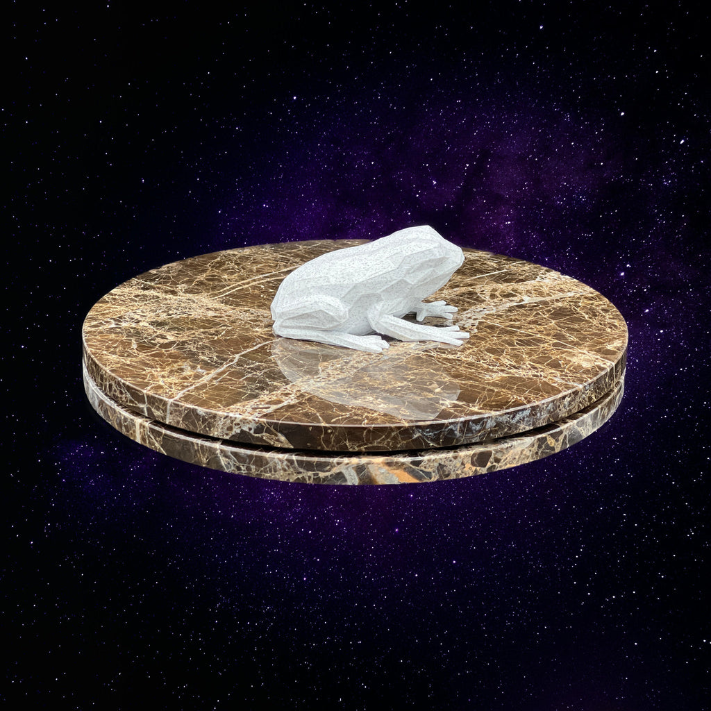 "Gustaeu The Frog" - 3D Printed - Hand of Stardust