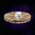 "Gustaeu The Frog" - 3D Printed - Hand of Stardust