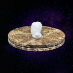 "Rupert the Snail" - 3D Printed - Hand of Stardust